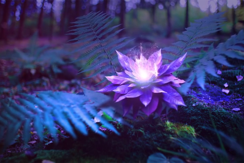 Video about Belarus #2